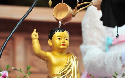 Celebrating the Birth of the Buddha: A Guide to Observing Buddha’s Birthday